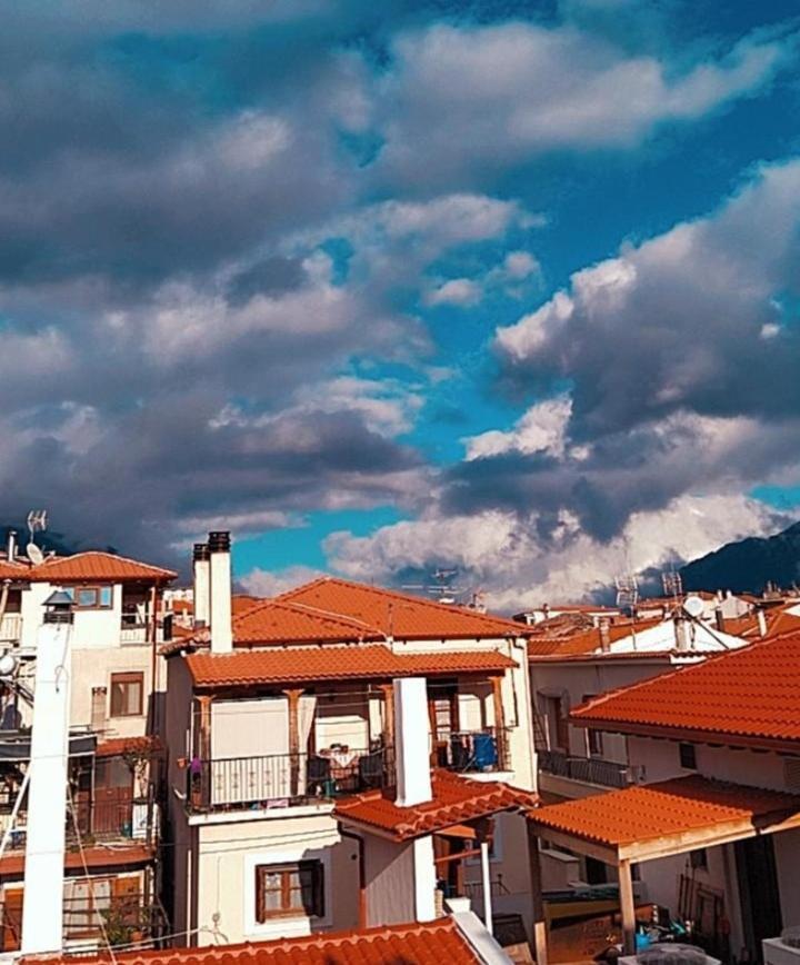 Apollon Inn Arachova Extérieur photo